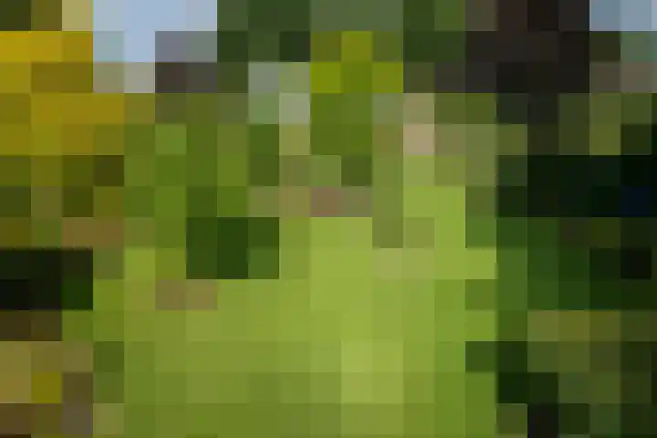 Dorpsstraat 9 Terwolde thumbnail 32