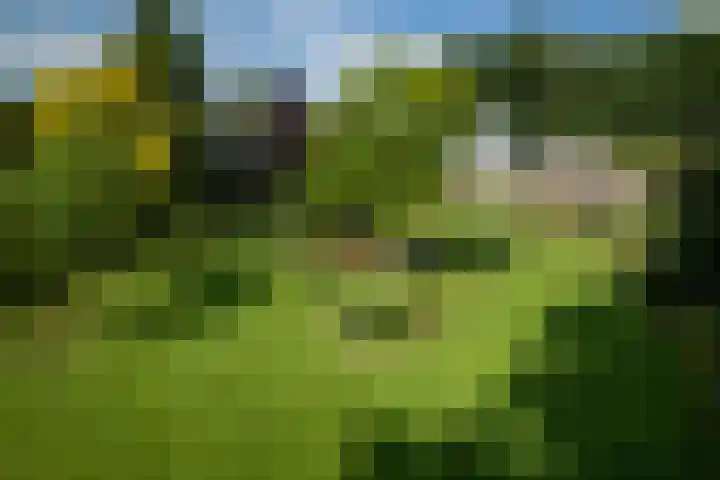 Dorpsstraat 9 Terwolde thumbnail 33