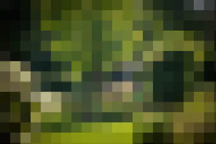 Dorpsstraat 9 Terwolde thumbnail 40