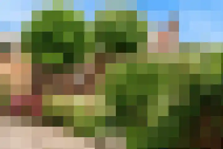 Dorpsstraat 9 Zegveld thumbnail 31