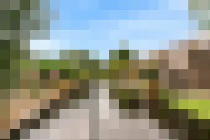 Dorpsstraat 9 Zegveld thumbnail 35