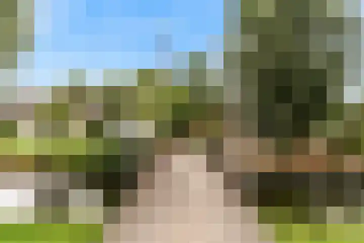 Dorpsstraat 9 Zegveld thumbnail 36