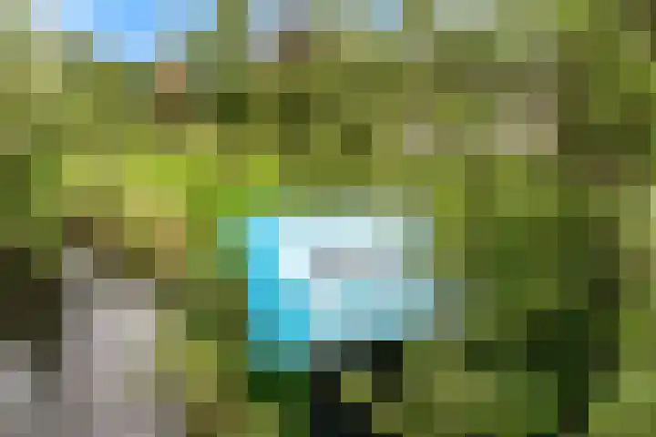 Dorpsstraat 9 Zegveld thumbnail 37