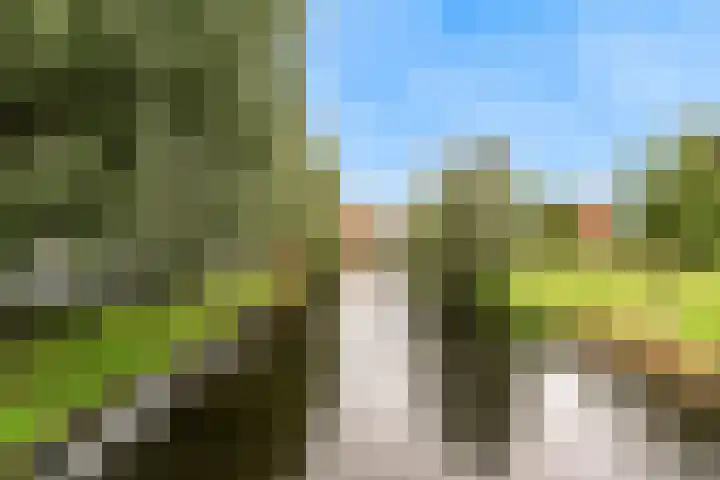 Dorpsstraat 9 Zegveld thumbnail 38