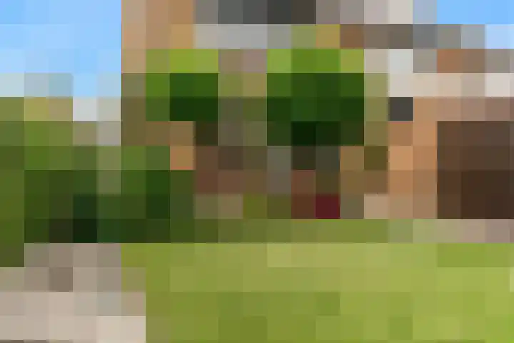 Dorpsstraat 9 Zegveld thumbnail 4
