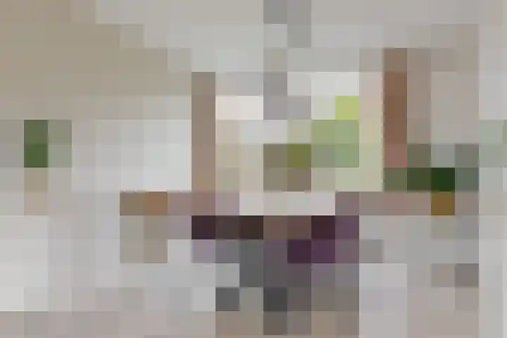Dorpsstraat 9 Zegveld thumbnail 6