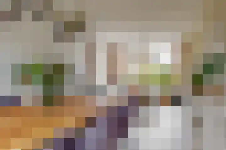 Dorpsstraat 9 Zegveld thumbnail 7