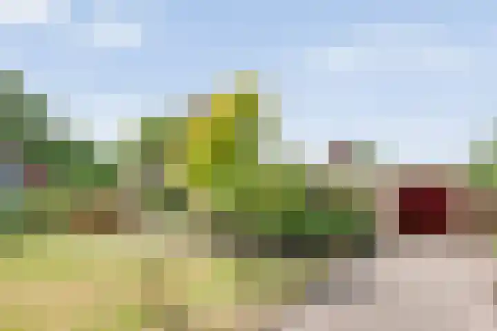 Dorpsstraat 9 Zorgvlied thumbnail 12