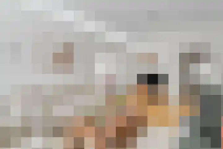 Dorpsstraat 9 Zorgvlied thumbnail 20