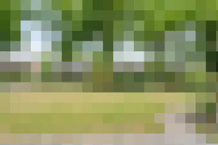 Dorpsstraat 9 Zorgvlied thumbnail 42