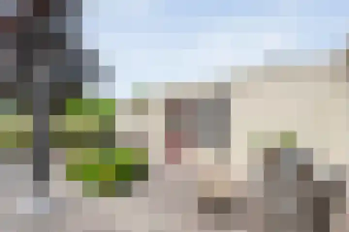 Dorpsstraat 9 Zorgvlied thumbnail 47