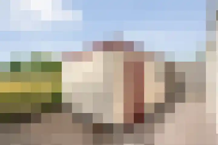 Dorpsstraat 9 Zorgvlied thumbnail 48