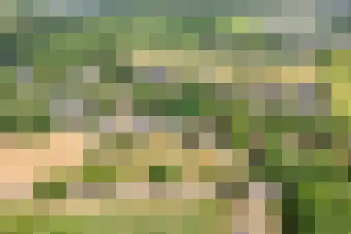 Dorpsstraat 9 Zorgvlied thumbnail 5