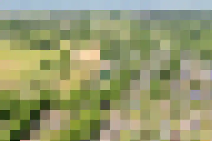 Dorpsstraat 9 Zorgvlied thumbnail 54