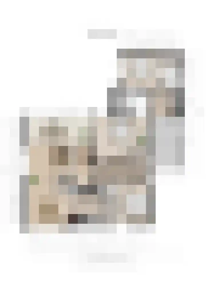 Dorpsstraat 9 Zorgvlied thumbnail 55