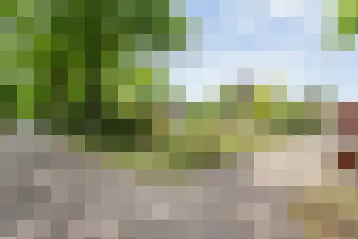Dorpsstraat 9 Zorgvlied thumbnail 7