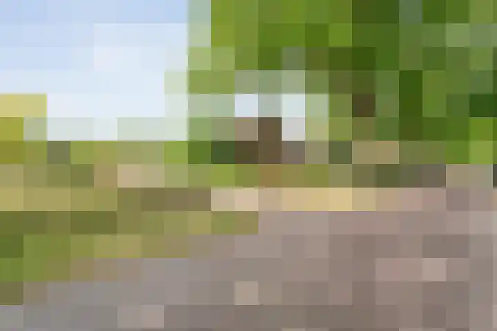 Dorpsstraat 9 Zorgvlied thumbnail 8