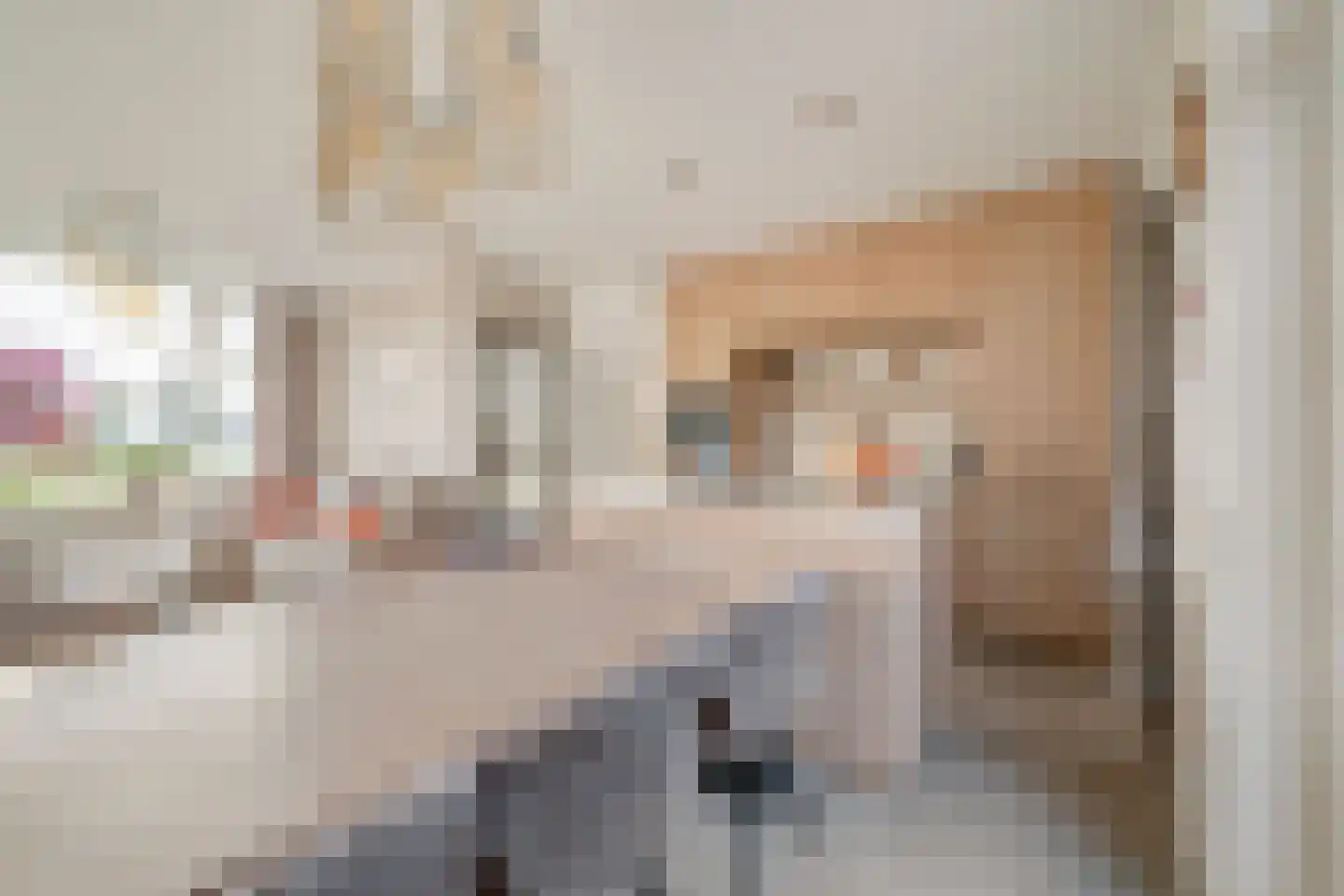 Dorpsstraat 90 Assendelft thumbnail 10