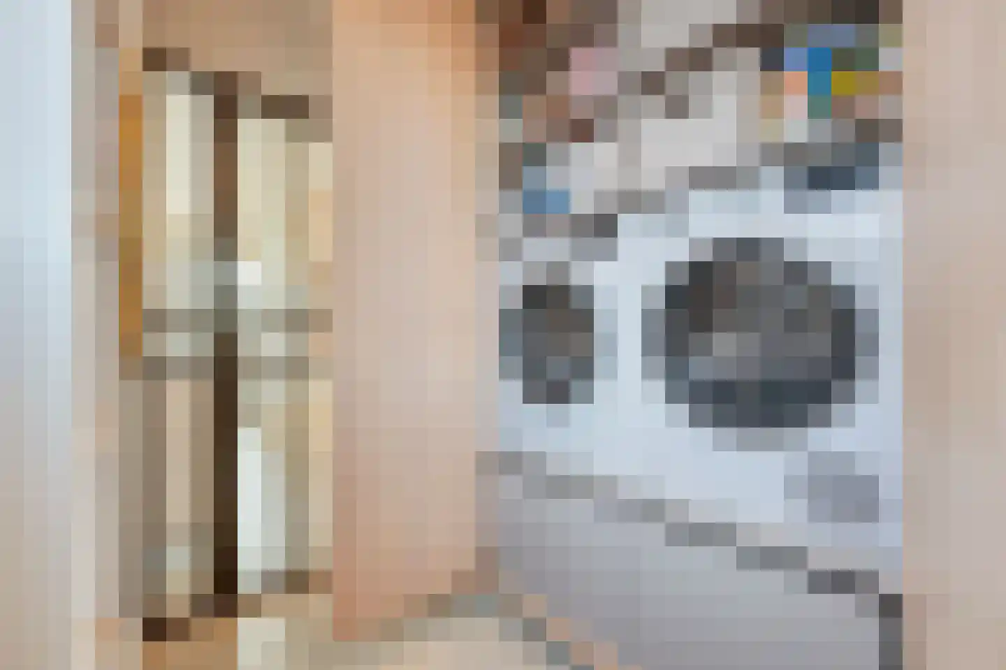 Dorpsstraat 90 Assendelft thumbnail 23
