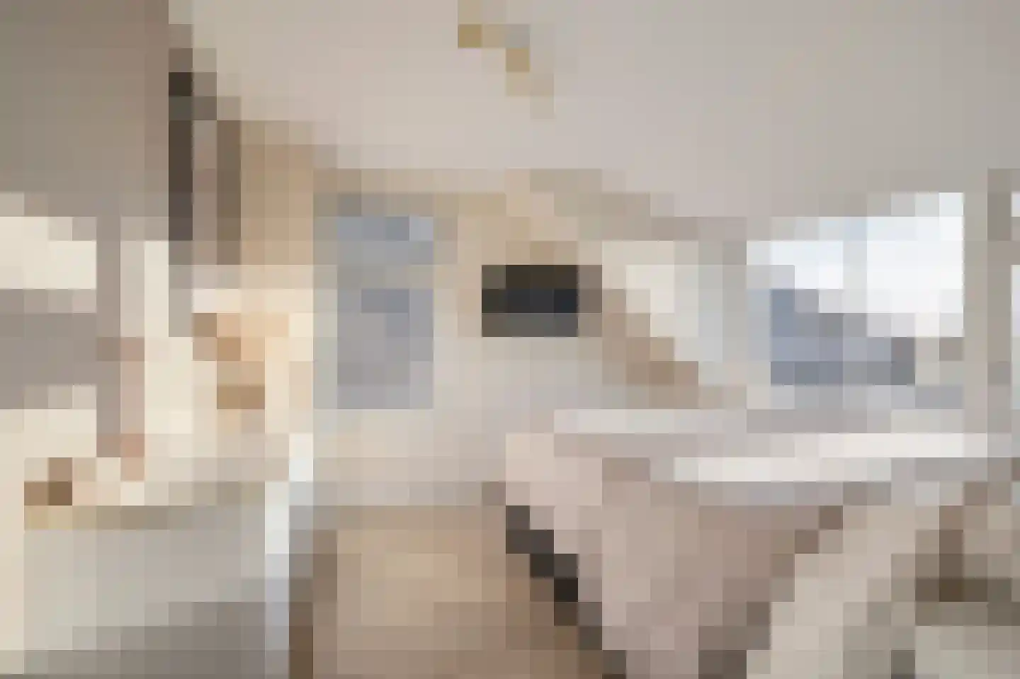 Dorpsstraat 90 Assendelft thumbnail 29