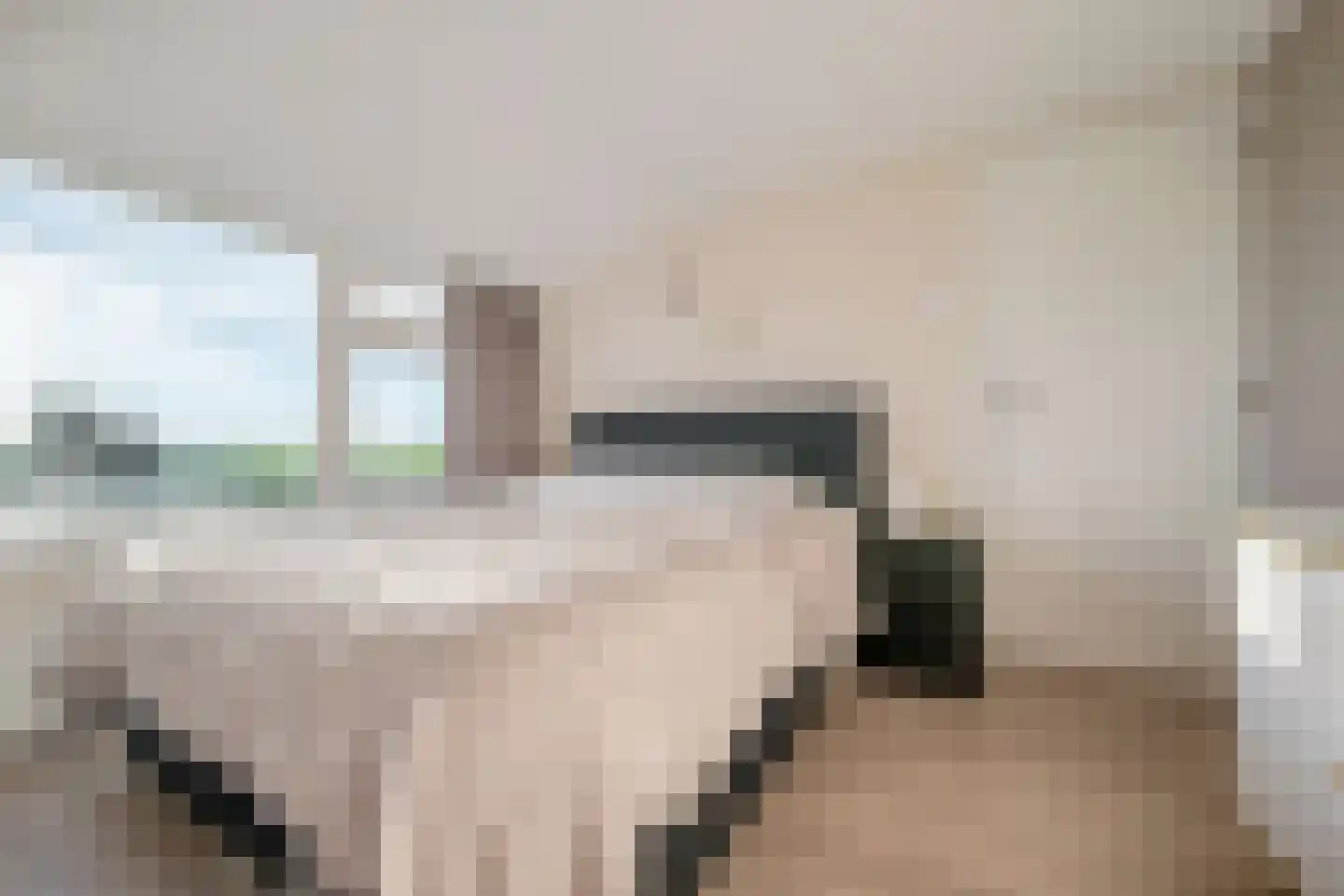 Dorpsstraat 90 Assendelft thumbnail 30