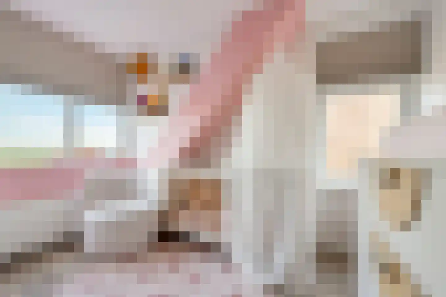 Dorpsstraat 90 Assendelft thumbnail 37