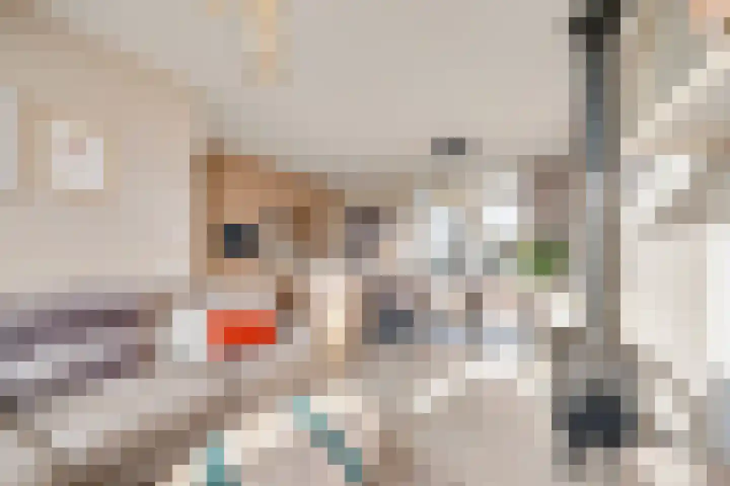 Dorpsstraat 90 Assendelft thumbnail 4