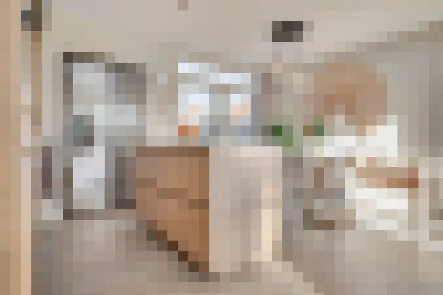 Dorpsstraat 90 Assendelft thumbnail 5