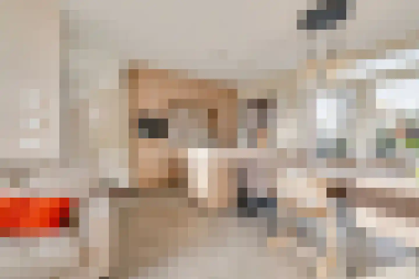 Dorpsstraat 90 Assendelft thumbnail 8
