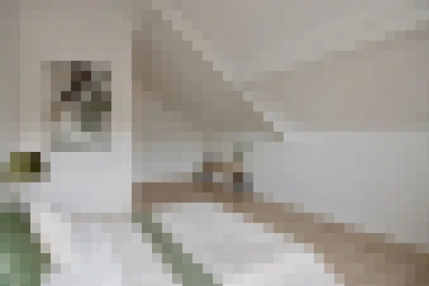 Dorpsstraat 90 E Roermond thumbnail 28