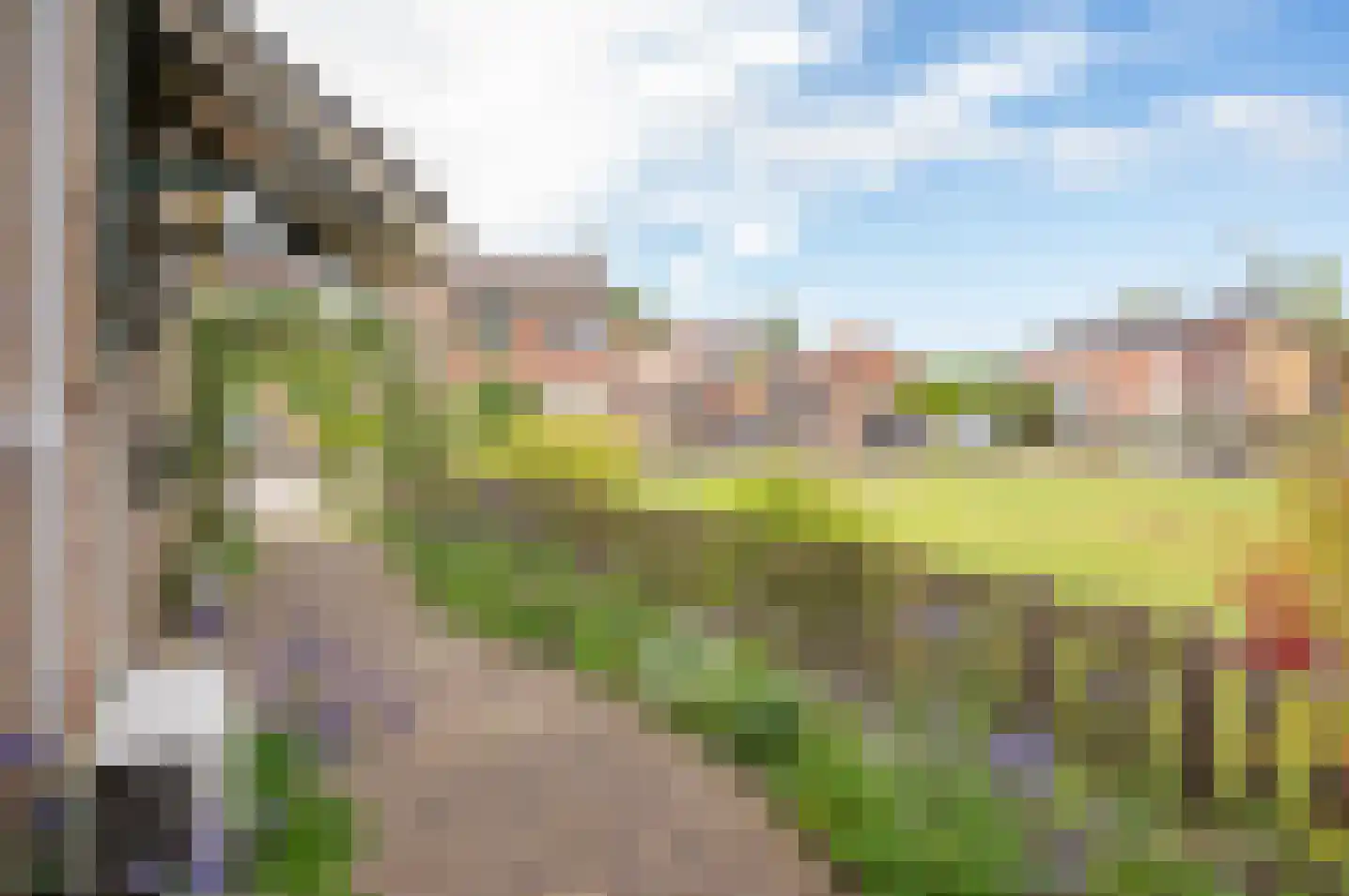 Dorpsstraat 90 Halle thumbnail 12