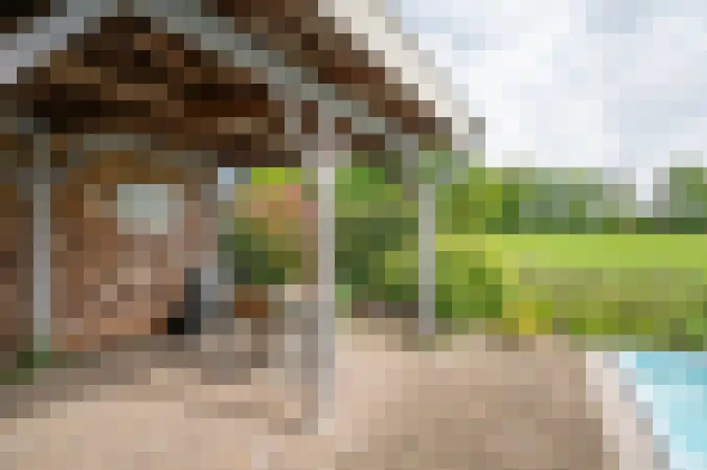 Dorpsstraat 90 Halle thumbnail 43