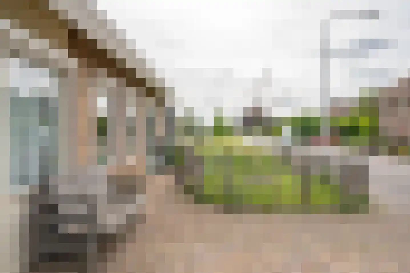 Dorpsstraat 90 Halle thumbnail 56