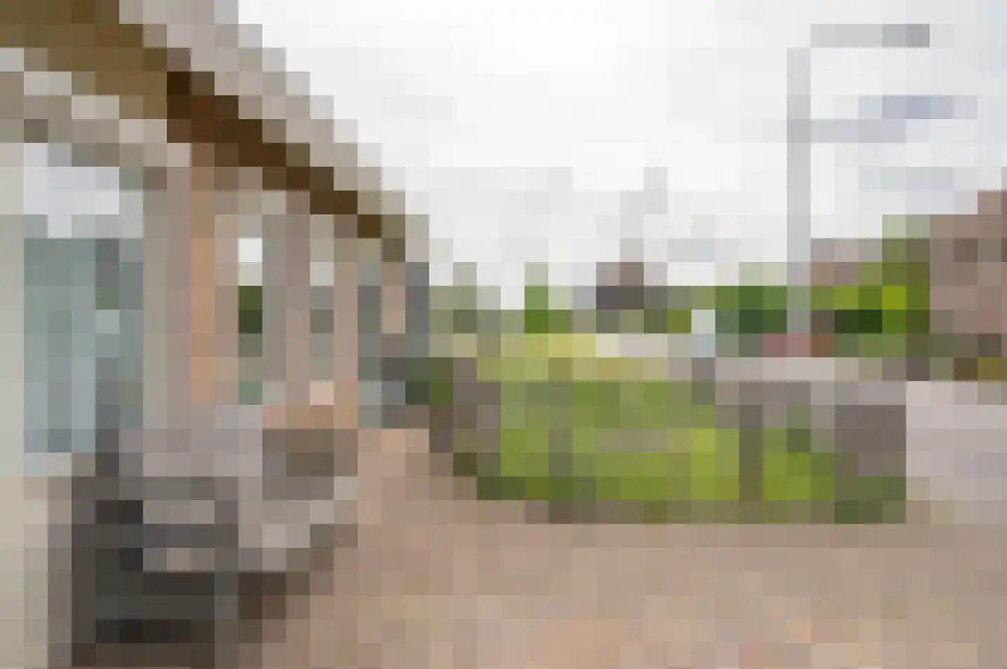 Dorpsstraat 90 Halle thumbnail 56