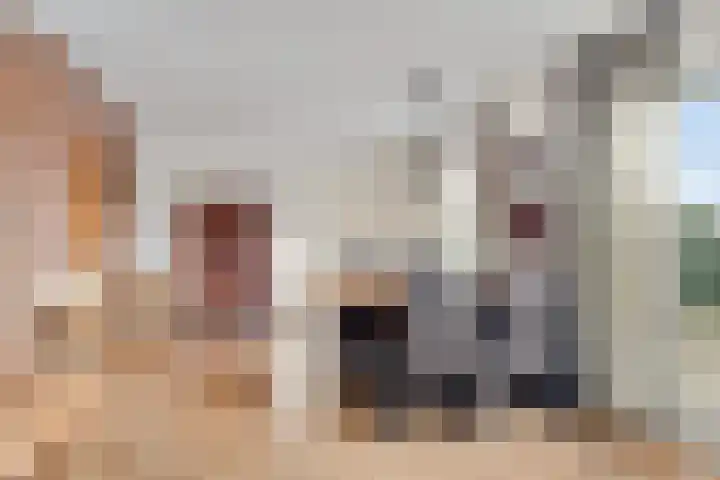 Dorpsstraat 90 Nijeveen thumbnail 13