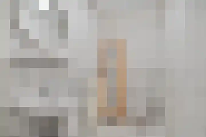 Dorpsstraat 90 Nijeveen thumbnail 34