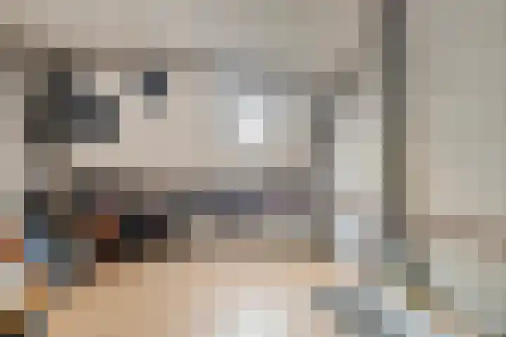 Dorpsstraat 90 Nijeveen thumbnail 35