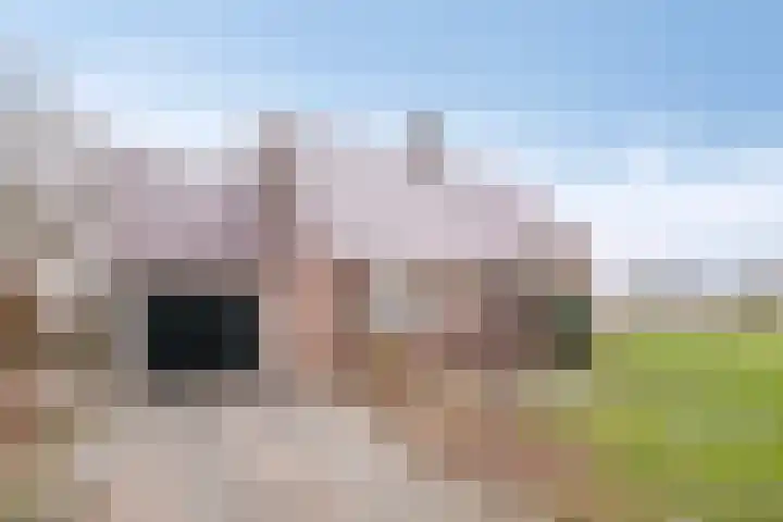 Dorpsstraat 90 Nijeveen thumbnail 37