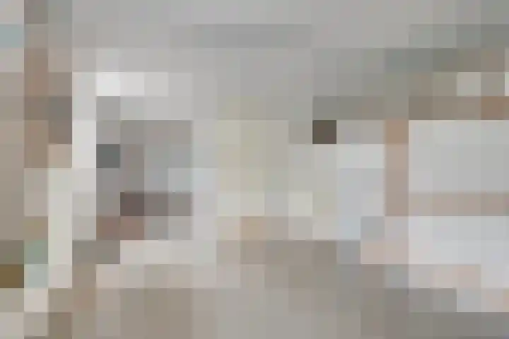 Dorpsstraat 90 Nijeveen thumbnail 38