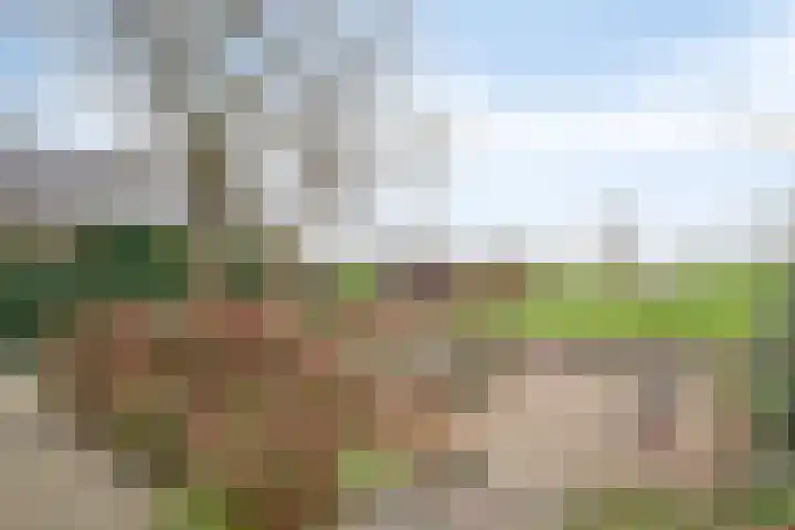 Dorpsstraat 90 Nijeveen thumbnail 5