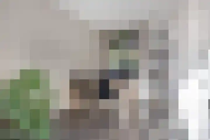 Dorpsstraat 90 Ouderkerk aan den IJssel thumbnail 7