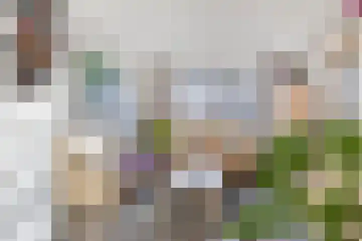 Dorpsstraat 90 Ouderkerk aan den IJssel thumbnail 8