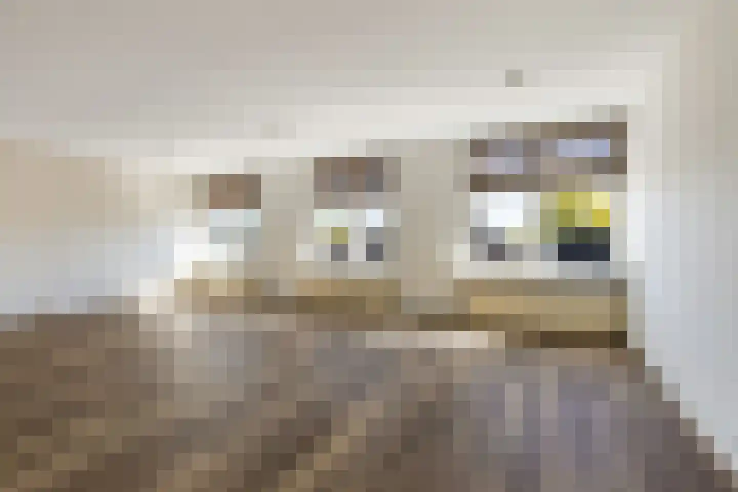 Dorpsstraat 90 Putten thumbnail 23
