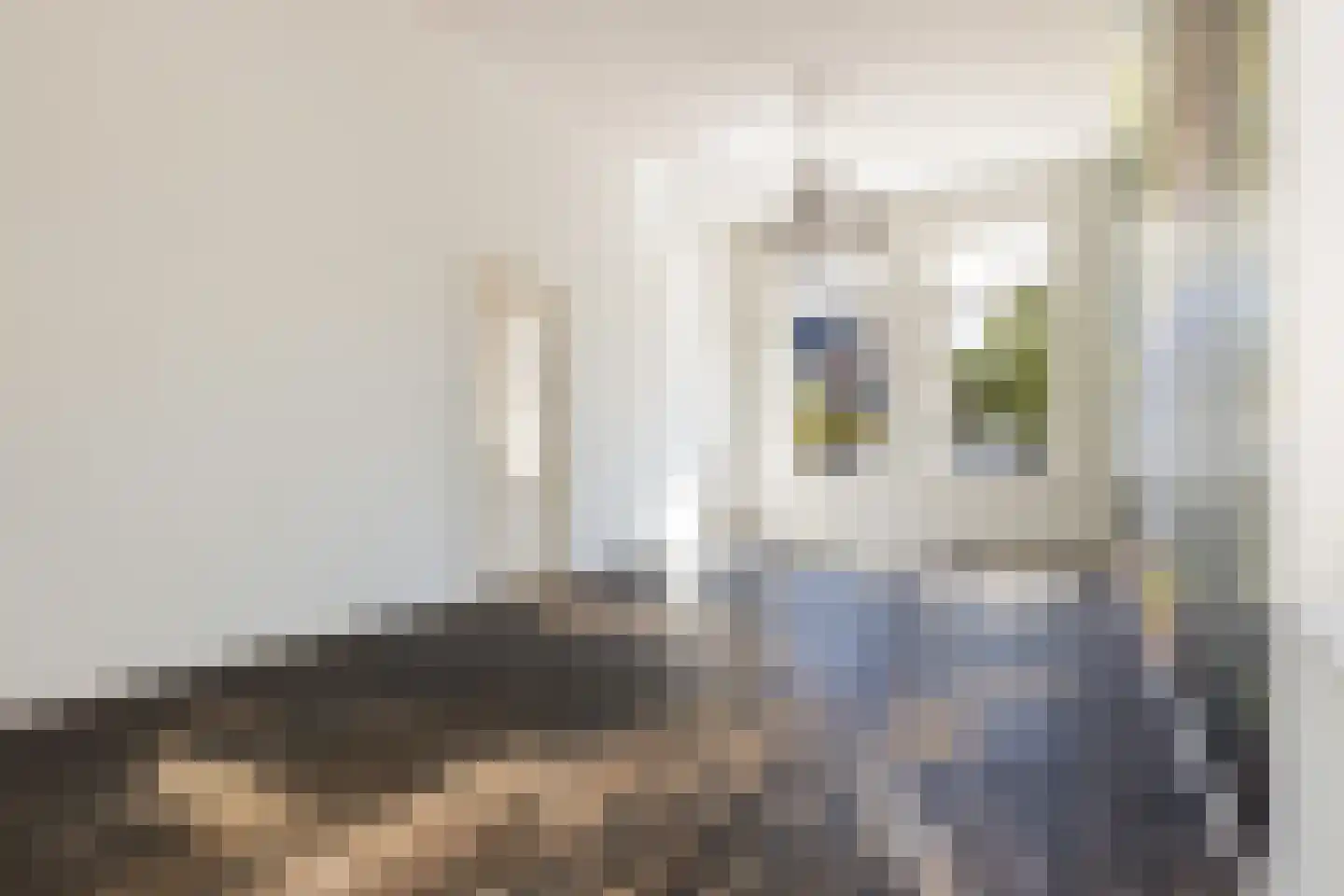 Dorpsstraat 90 Putten thumbnail 9