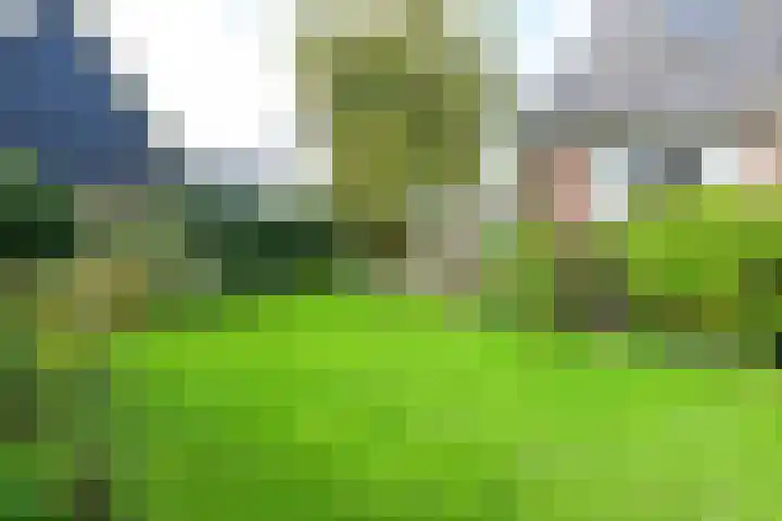 Dorpsstraat 91 Oterleek thumbnail 29
