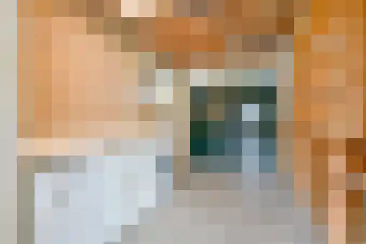Dorpsstraat 91 Oterleek thumbnail 30