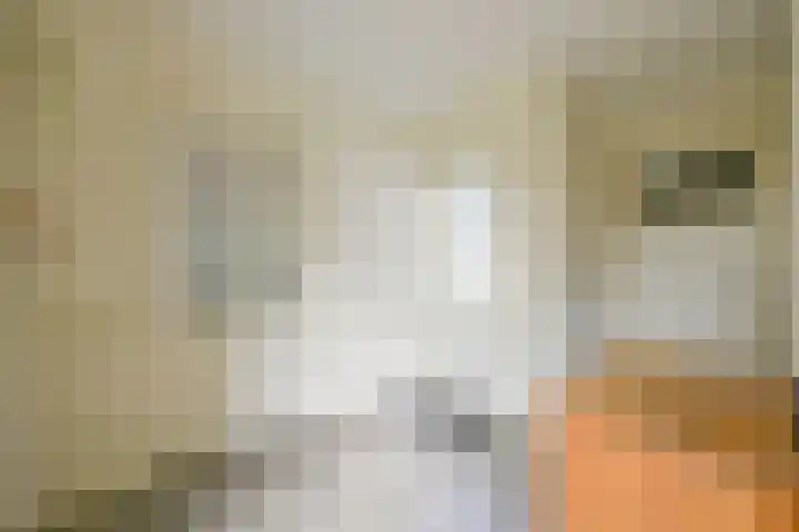 Dorpsstraat 91 Oterleek thumbnail 36