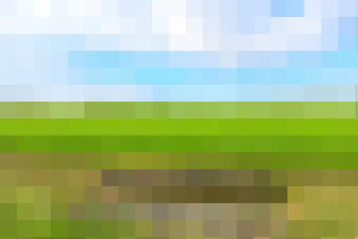 Dorpsstraat 91 Oterleek thumbnail 4