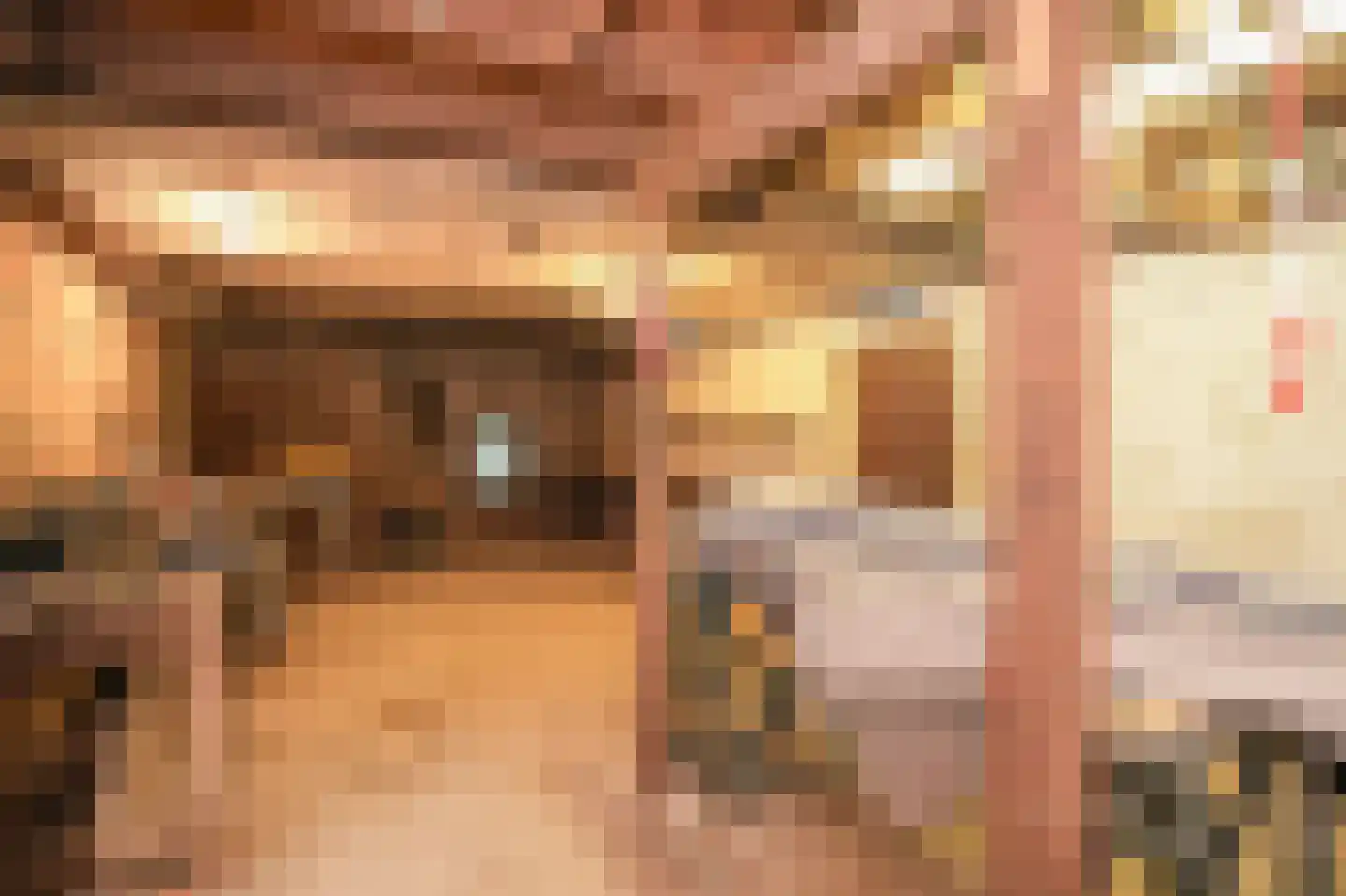 Dorpsstraat 91 Wamel thumbnail 44