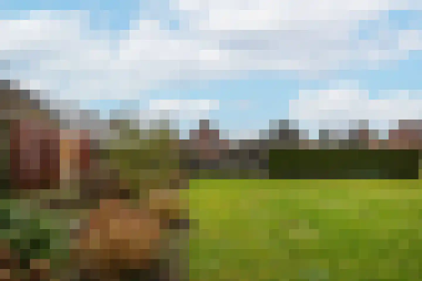Dorpsstraat 91 Wamel thumbnail 47